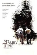 A Family Thing poster