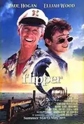 Flipper poster