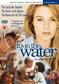 It's in the Water poster
