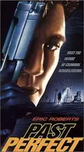 Past Perfect poster