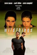 Wild Things poster