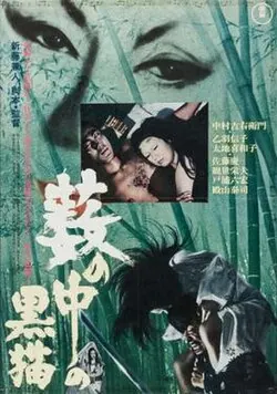 Black Cat poster