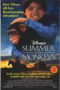 Summer of the Monkeys poster