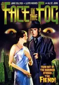 A Face in the Fog poster