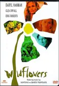 Wildflowers poster