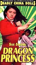 Dragon Princess poster