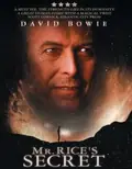 Mr. Rice's Secret poster