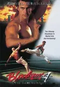 Bloodsport: The Dark Kumite poster