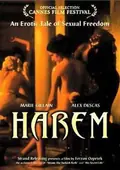 Last Harem poster