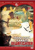 Karate Bear Fighter poster