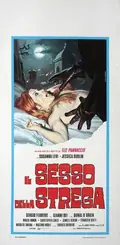Sex of the Witch poster