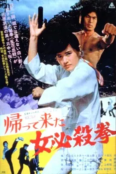 The Return of Sister Street Fighter poster