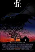 Bats poster
