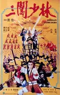Shaolin Intruders poster
