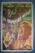 The Black Vampire poster