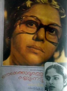 Nokkethadhoorathu Kannum Nattu poster