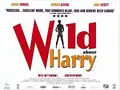 Wild About Harry poster