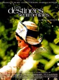 Sentimental Destinies poster