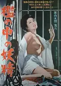 Fairy in a Cage poster
