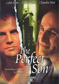 The Perfect Son poster