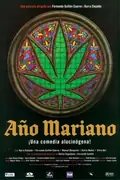 Año Mariano poster