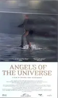 Angels of the Universe poster