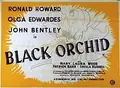 Black Orchid poster