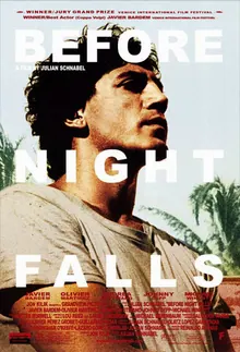 Before Night Falls poster