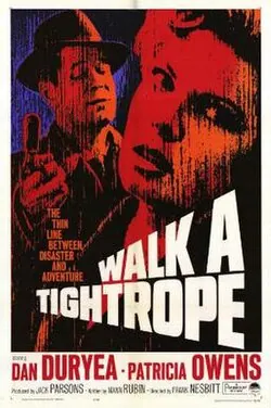 Walk a Tightrope poster