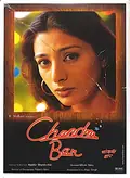 Chandni Bar poster