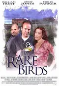 Rare Birds poster