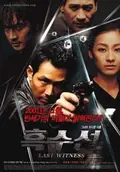 The Last Witness poster