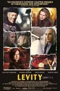 Levity poster