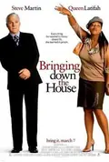Bringing Down the House poster