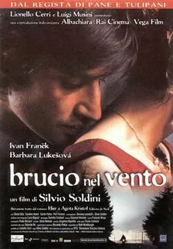 Brucio nel vento poster