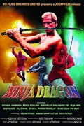 Ninja Dragon poster