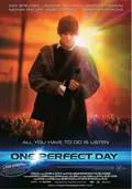One Perfect Day poster