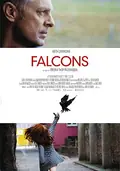 Falcons poster