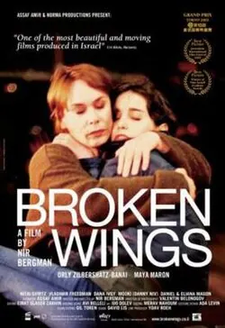 Broken Wings poster