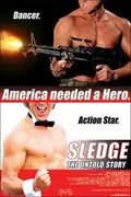 Confessions of an Action Star poster