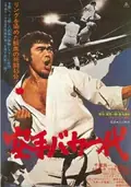 Karate for Life poster