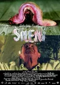 Lunacy poster