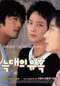 Romance of Their Own poster