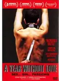 A Year Without Love poster