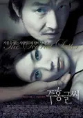 The Scarlet Letter poster