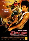 Born to Fight poster