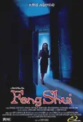 Feng Shui poster