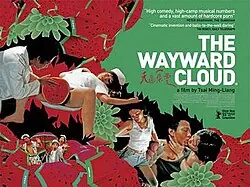 The Wayward Cloud poster