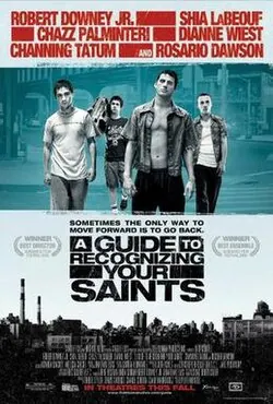 A Guide to Recognizing Your Saints poster