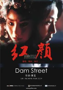 Dam Street poster